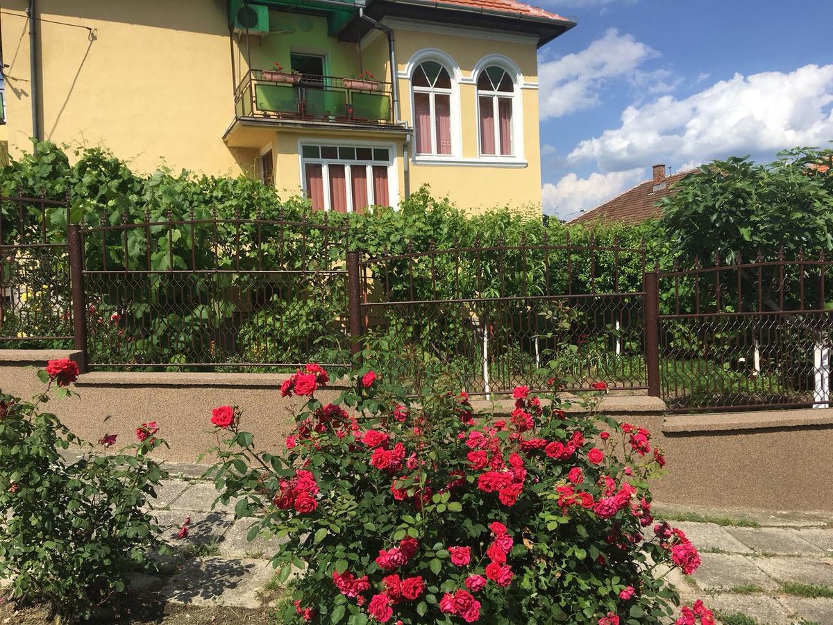 Arjana Villa Orsova